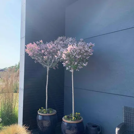 Large Unique Modern In Marielyst *
